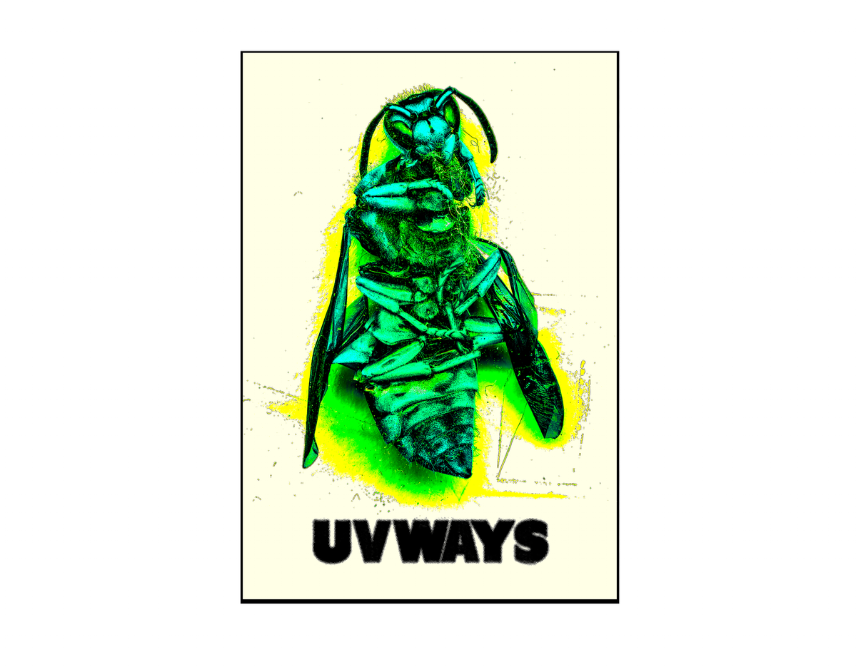 YELLOW JACKET POSTER – UVW SHOP